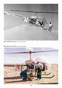 611 GYRAFRIQUE_000036
